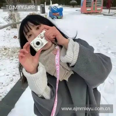 晏清飚